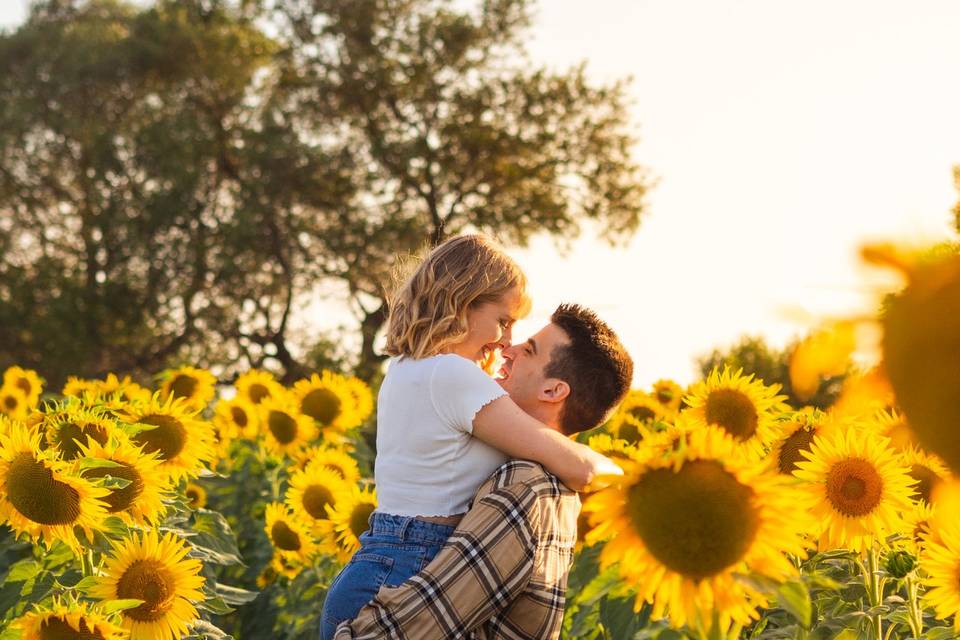 Preboda en girasoles