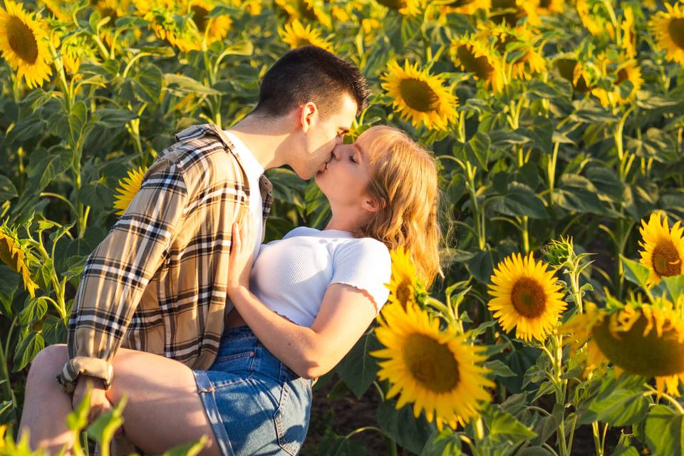 Preboda en girasoles