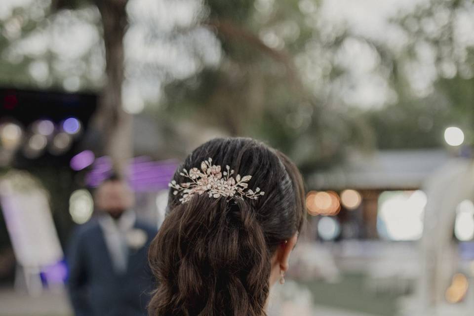 Coleta alta