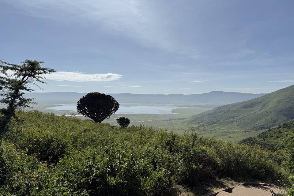 Cráter Ngorongoro