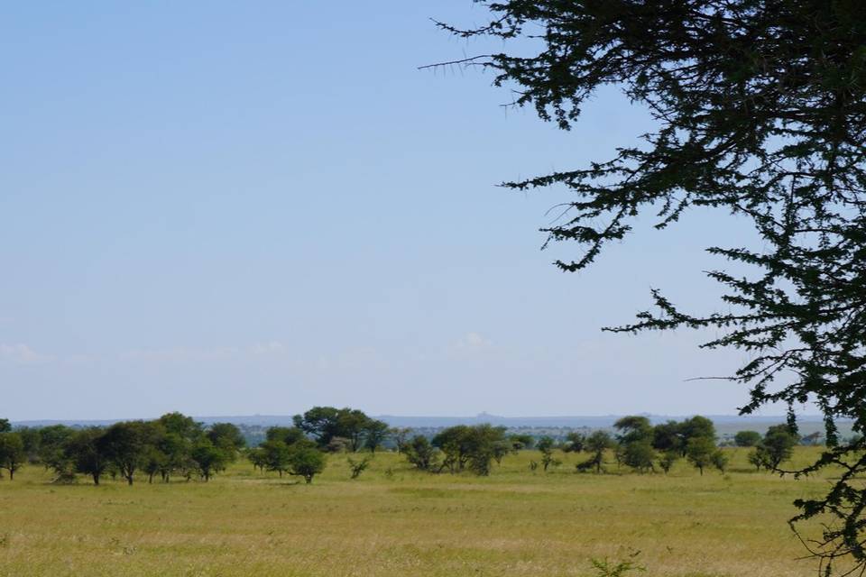 Naturaleza