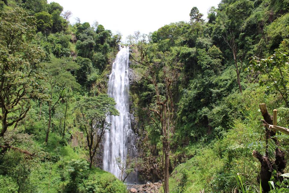 Cascada de Materuni