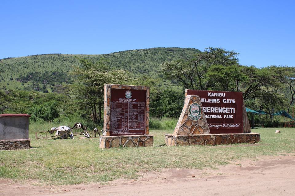Parque Serengeti
