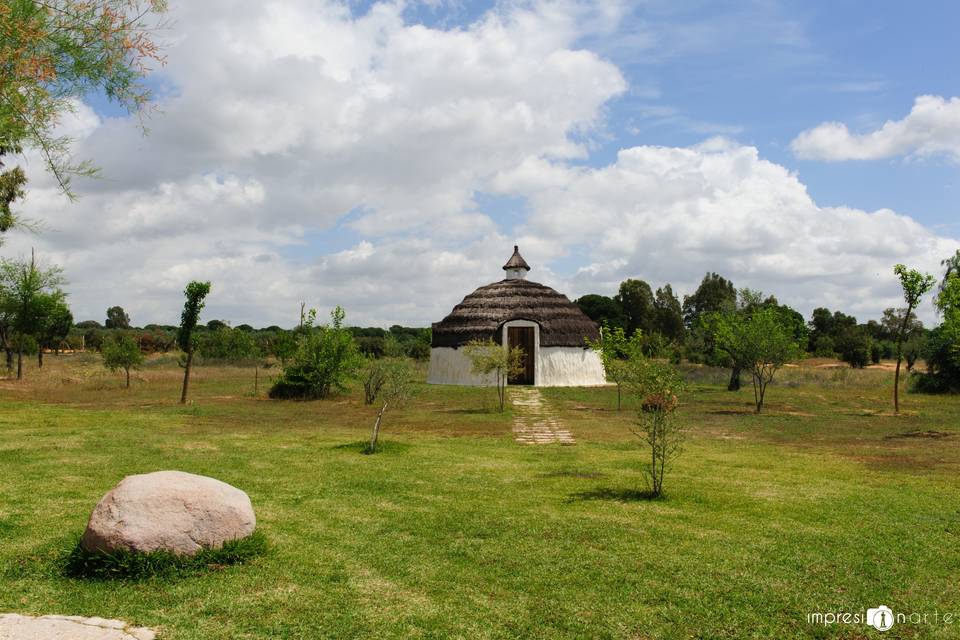 Ardea Purpurea