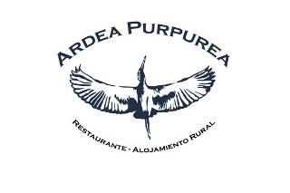 Ardea Purpurea