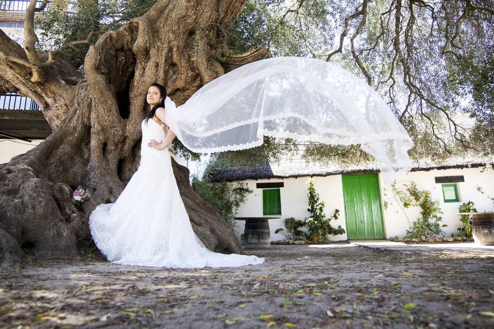 Postboda en Huelva