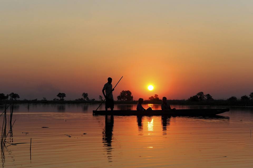 Paseo en barca por el Delta