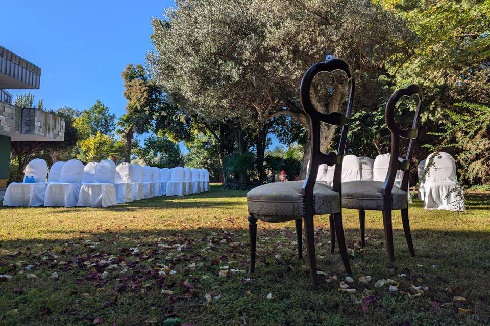 Ceremonia entre olivos
