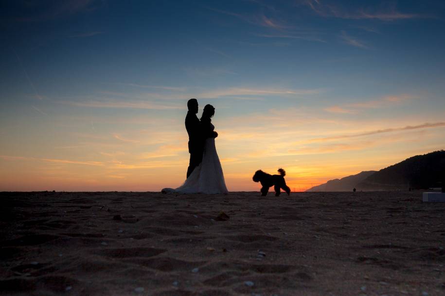 Postboda en la playa