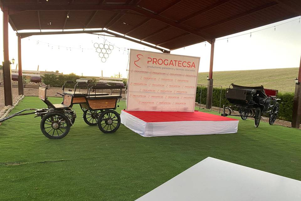 Escenario con photocall