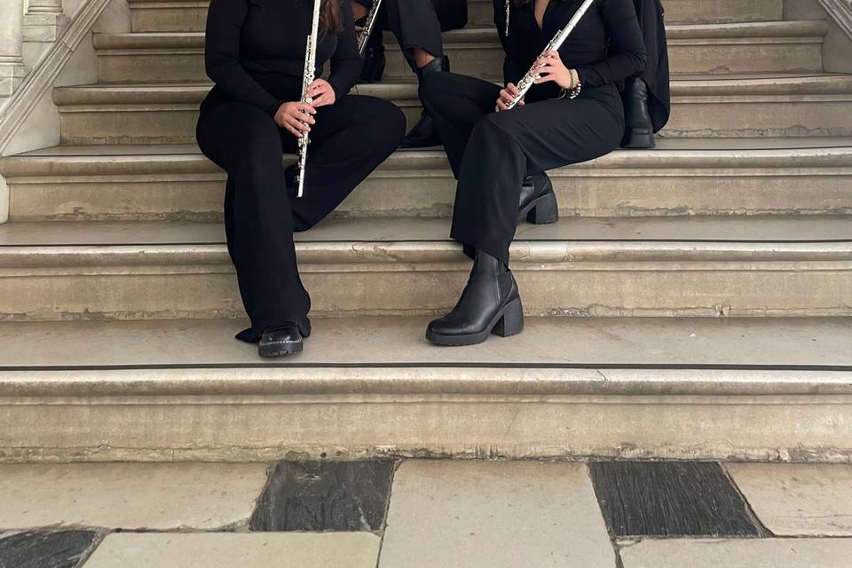 Músicas profesionales