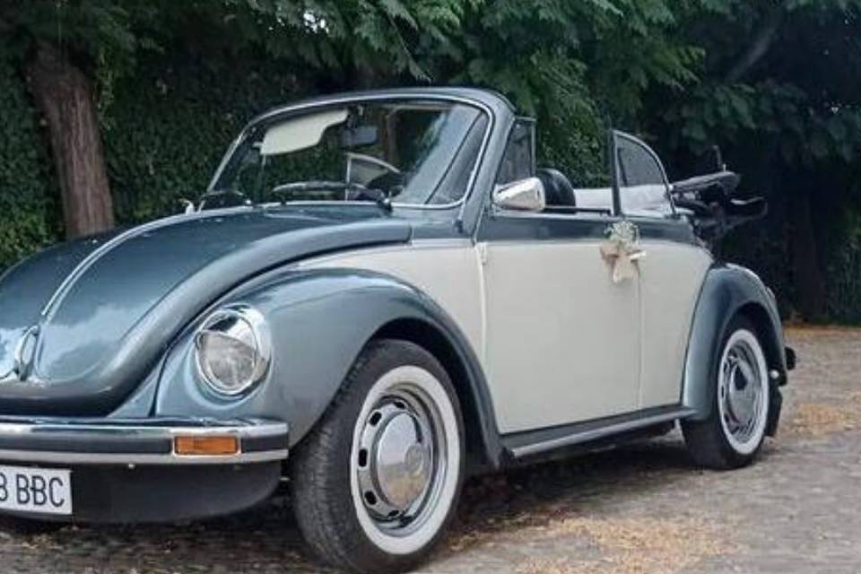 Escarabajo 1965