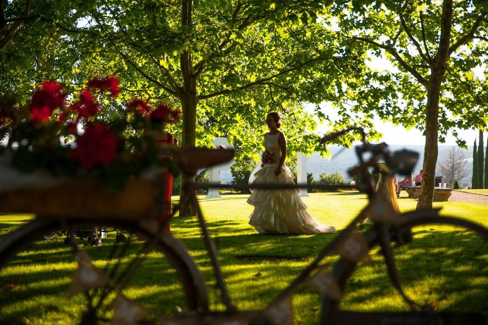 Boda en Pedrosillo