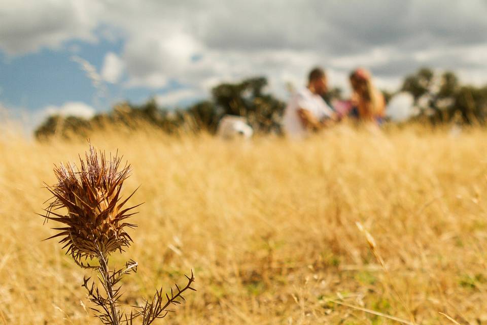 LYM fotógrafos