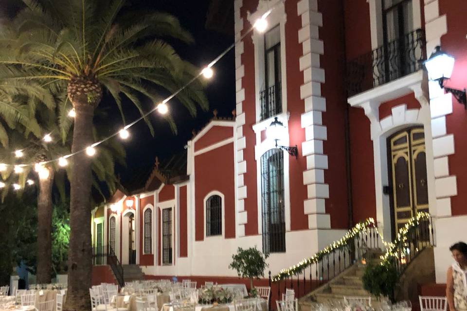 PAlmeras noche