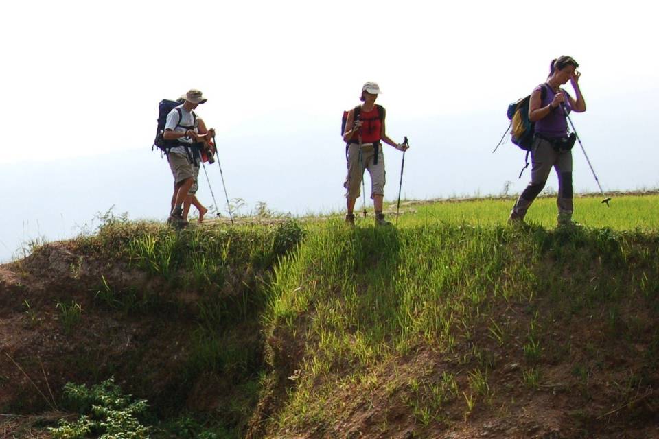 Caminando por Sulawesi