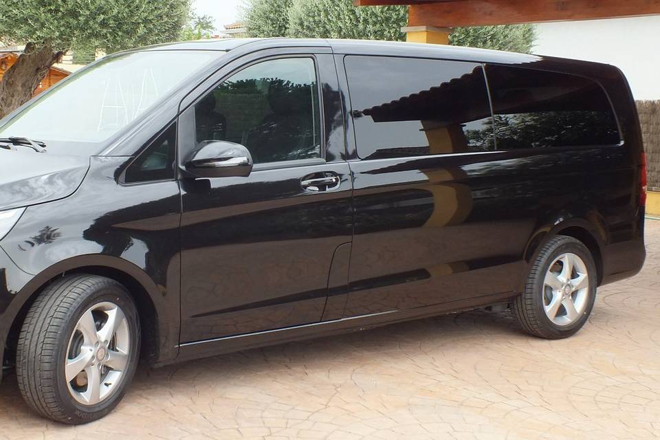 Mercedes Viano