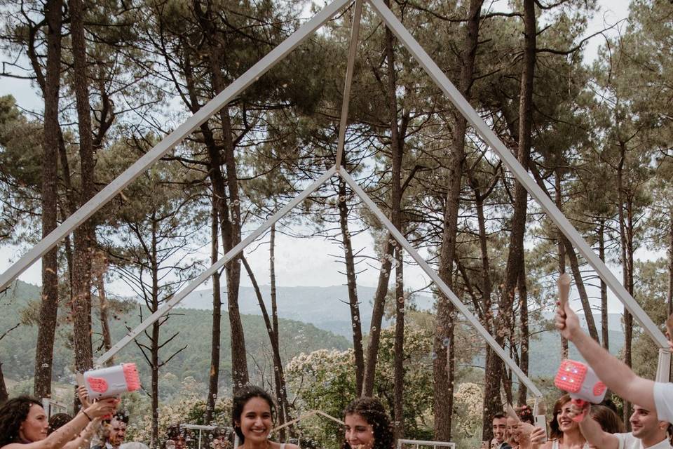 Bodas en la Estructura
