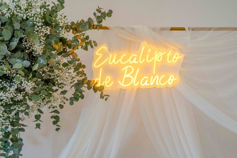 Eucalipto de Blanco