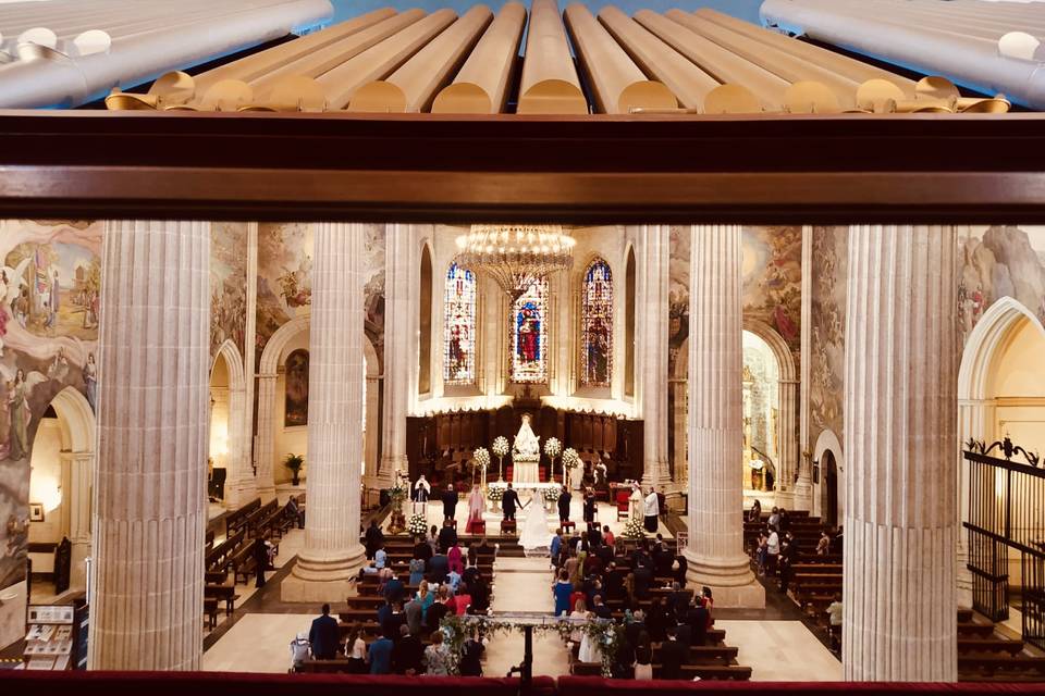 Catedral - órgano