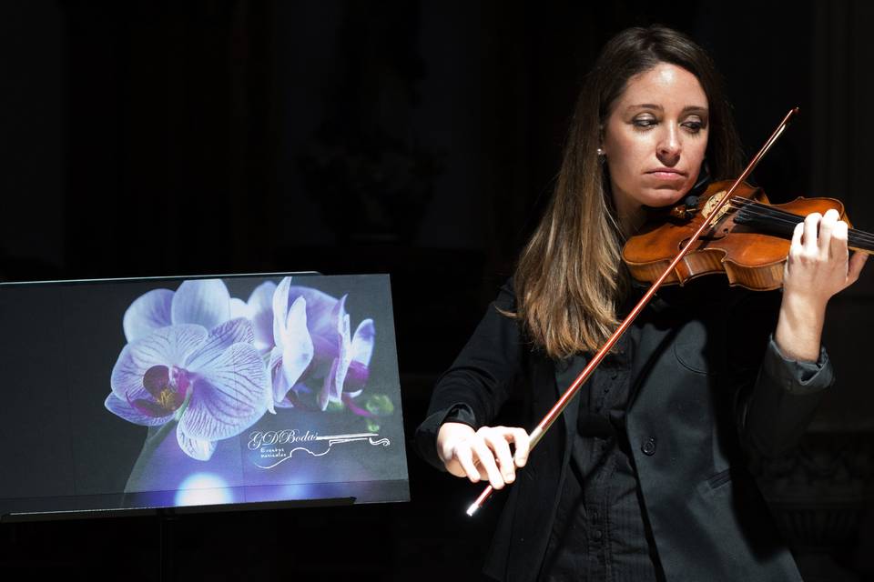 Violinista catedral albacete