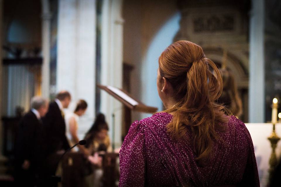 Violinista catedral san juan