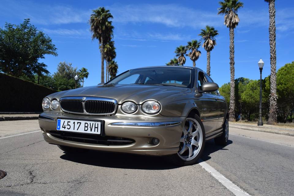 Wedding Jaguar