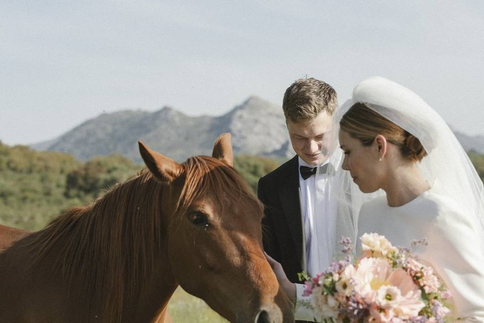 Novios con caballos