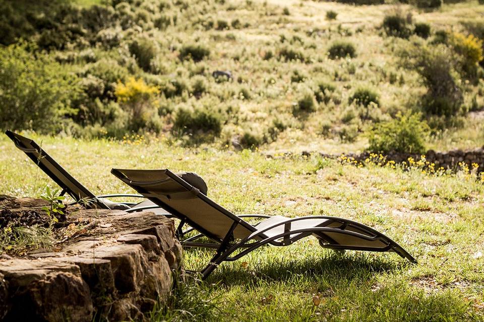 Picnic en jardín