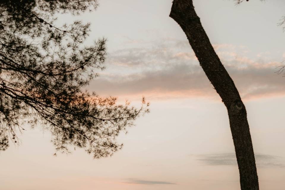 Vistas