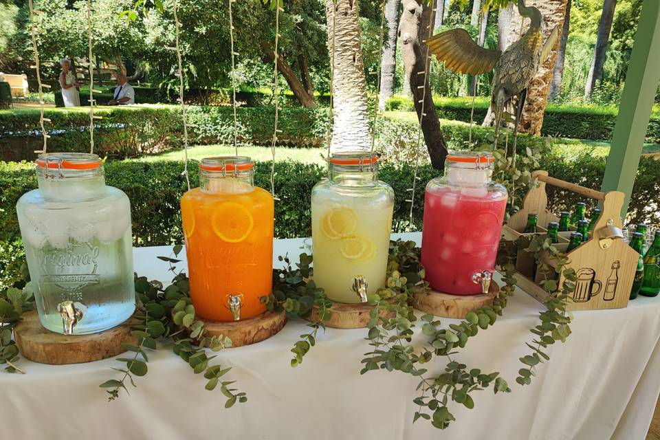 Aguas y limonadas