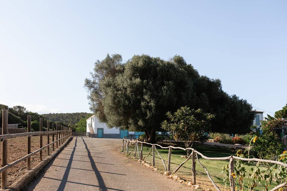 Entrada Villa Valens