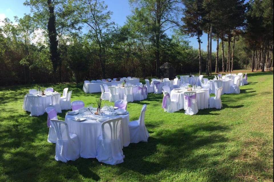 Banquete