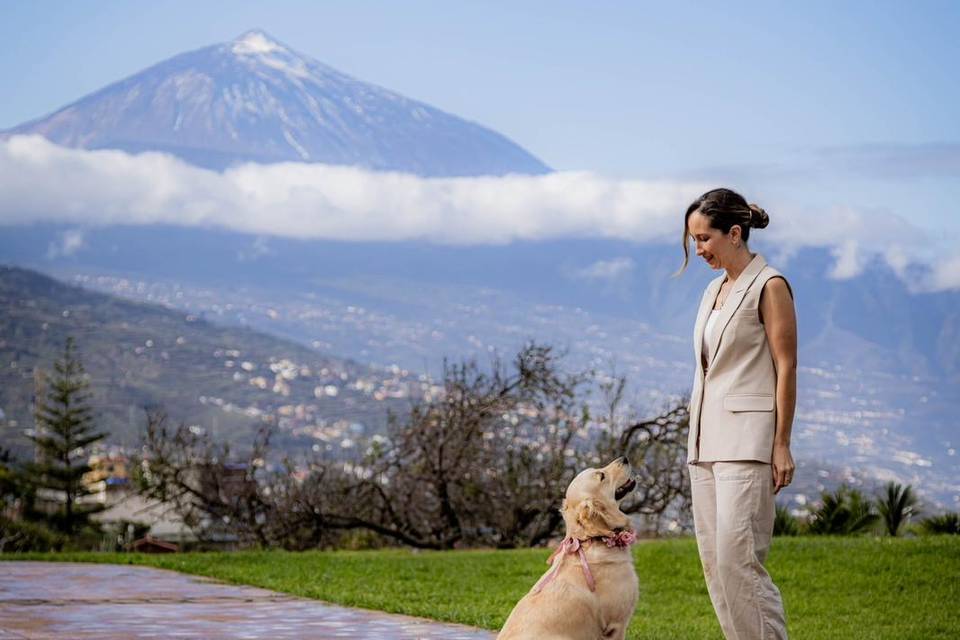 Tu perro en tu boda
