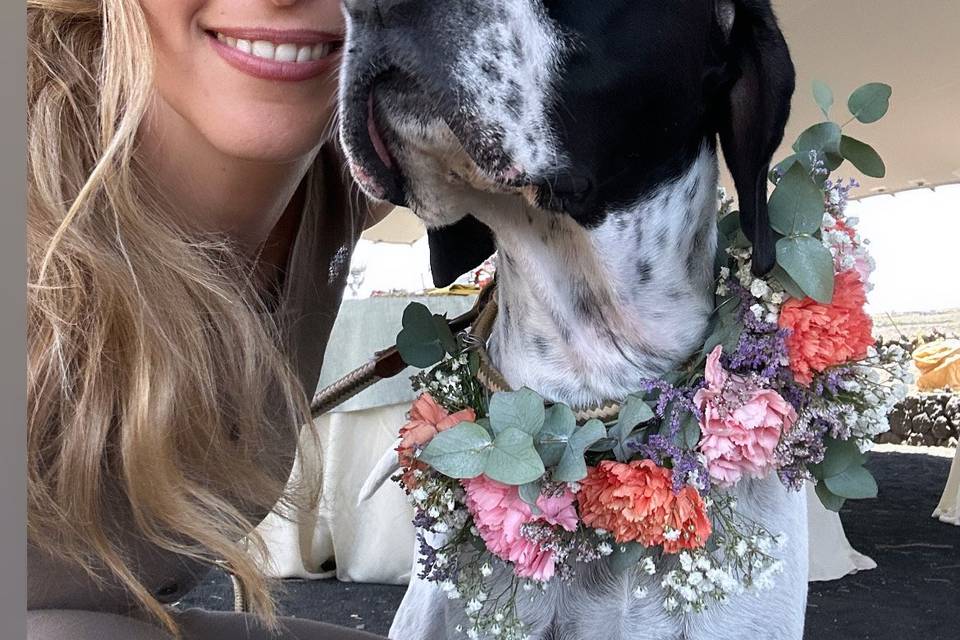 Corona de flores