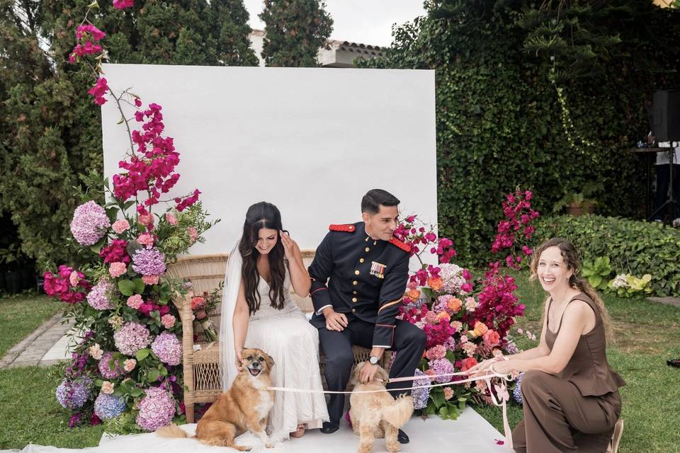 Tu perro en tu boda