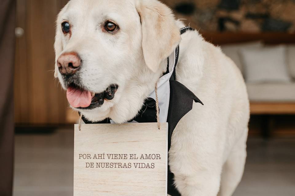 El amor de nuestra vida