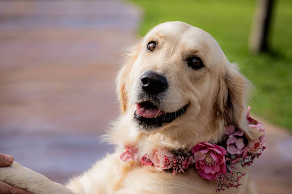 Corona de flores
