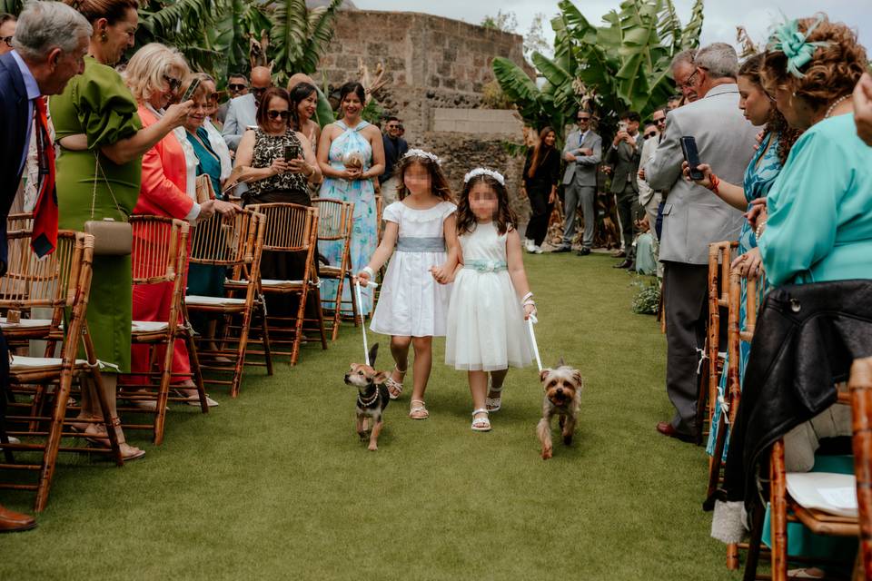 Entrada con las niñas