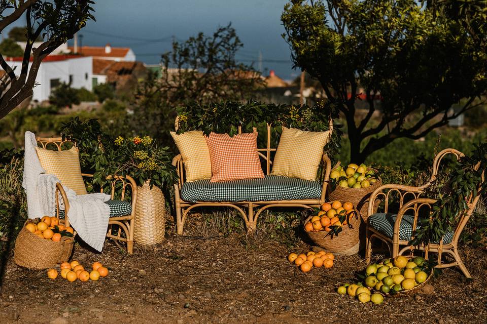 Bajo el sol de la Toscana 2020