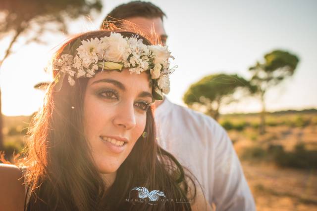 Novios
