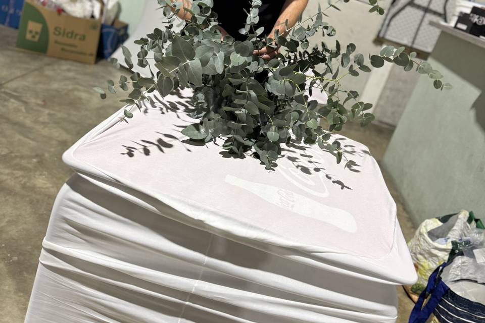 Preparación