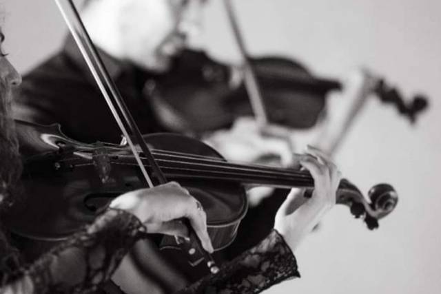 Violín & Viola