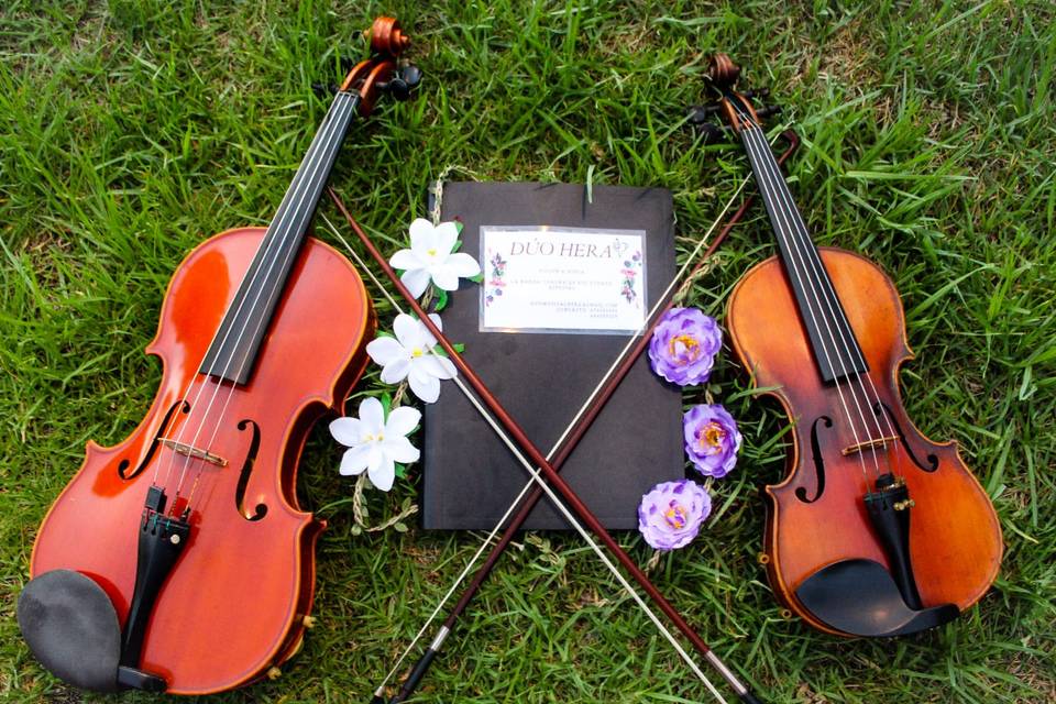 Dúo de violín y viola