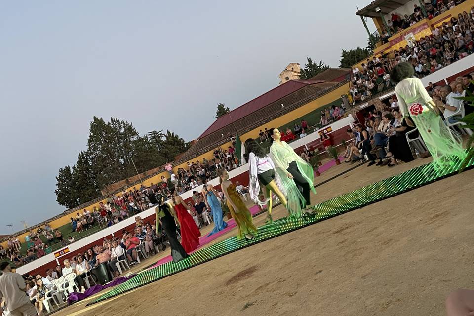 Pasarelas de moda