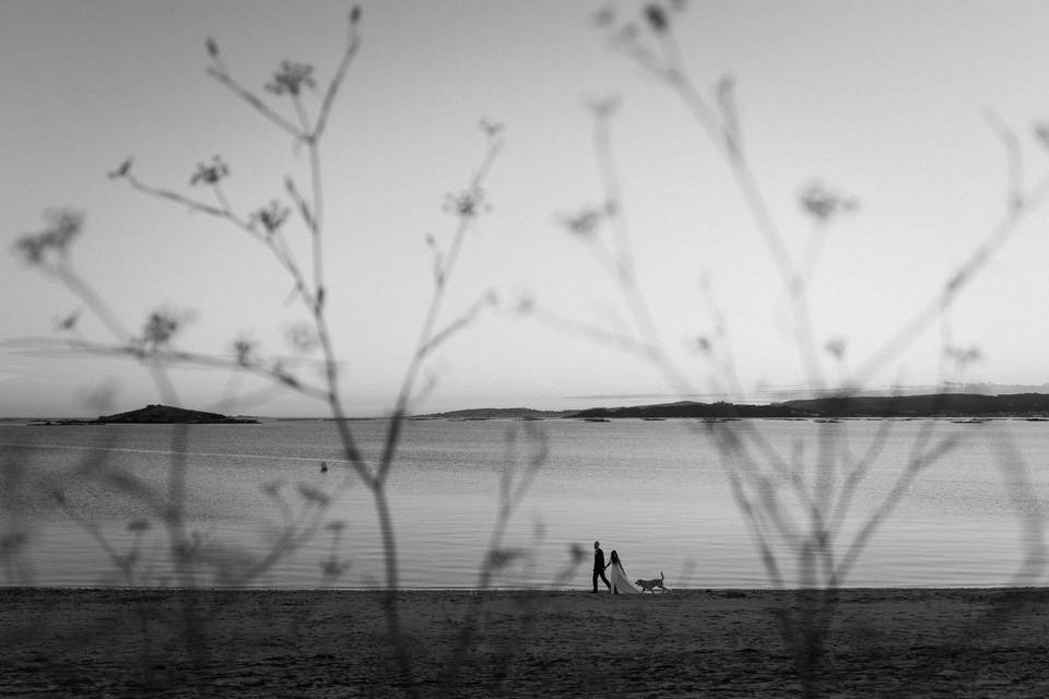 Postboda en la playa