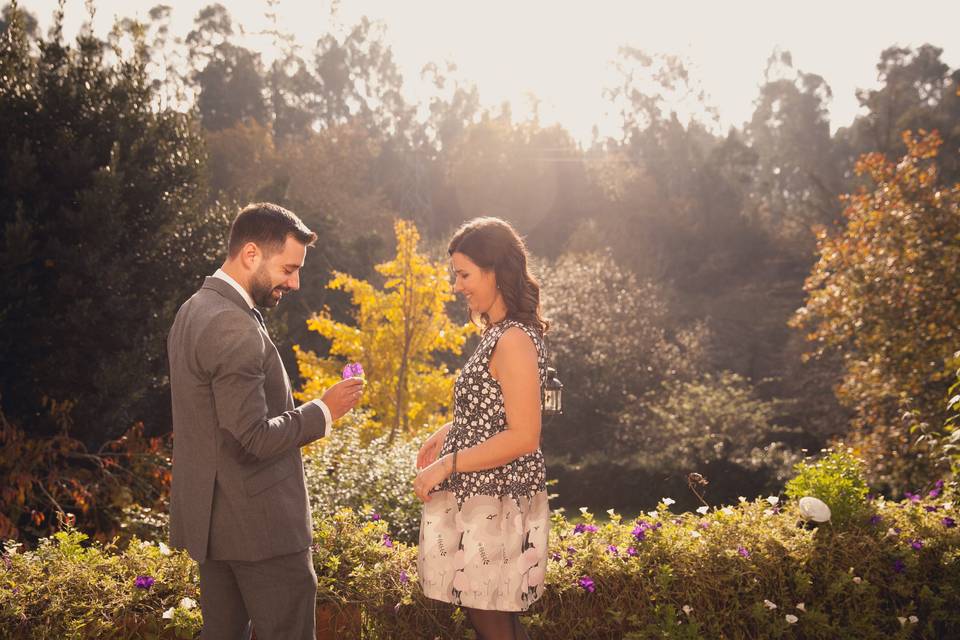 Las bodas de la Diapo