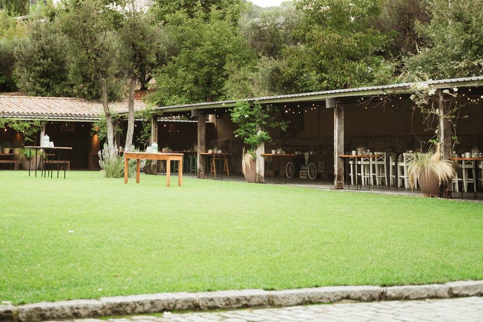 Aperitivo