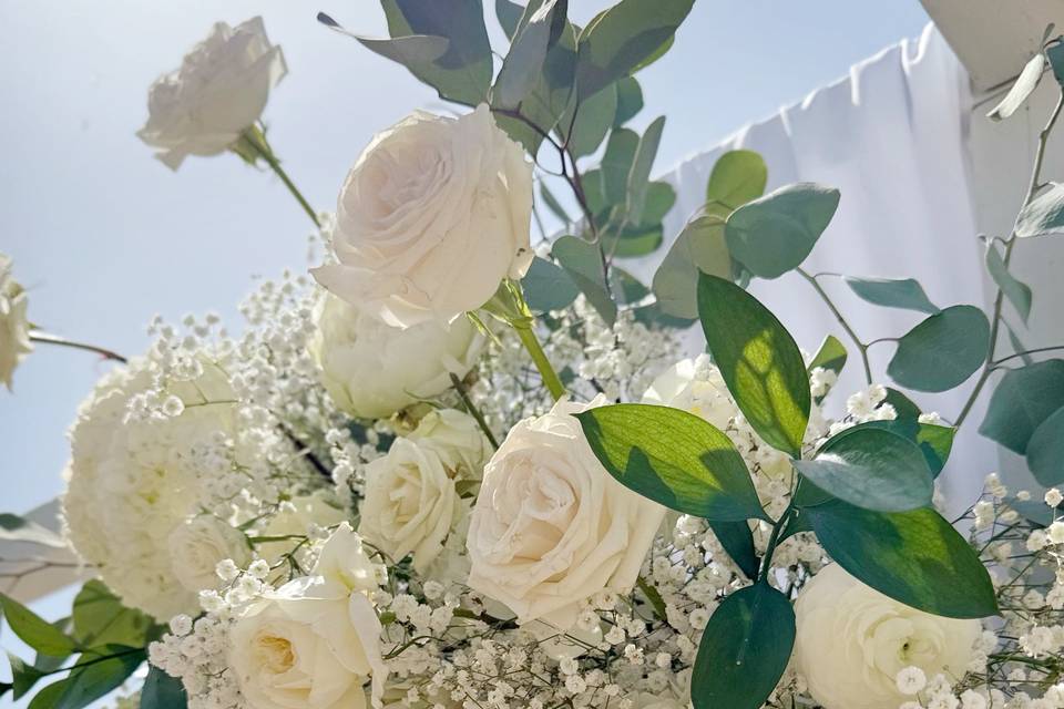 Detalles de flores