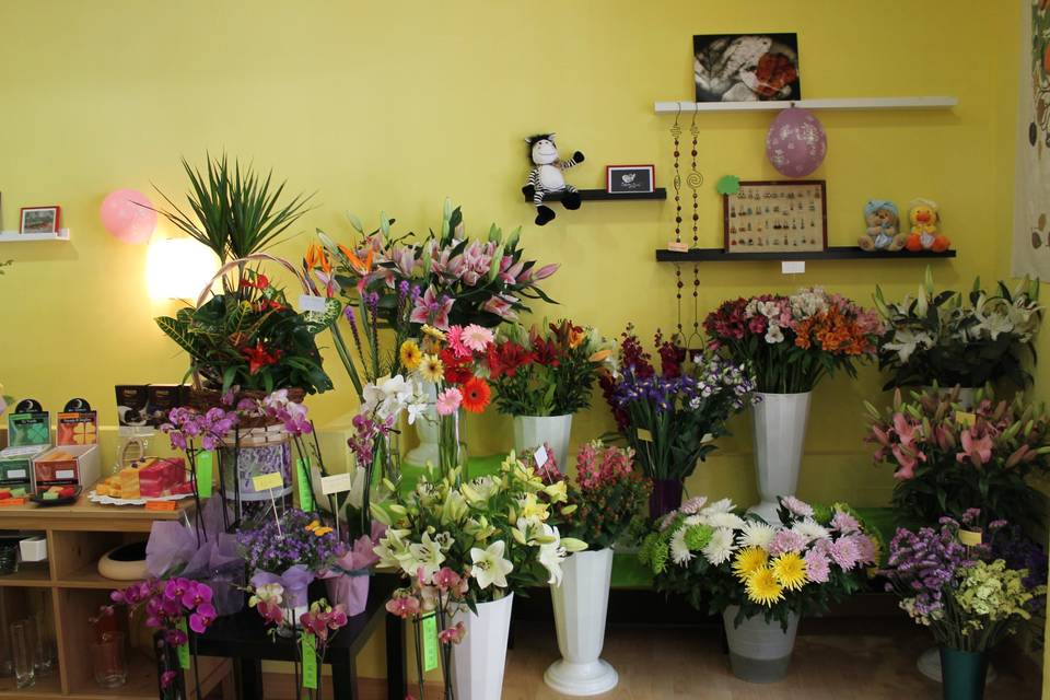 Interior de la tienda